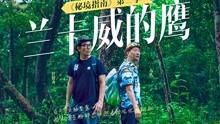 男生在什么年龄阶段开始谈恋爱最合适？